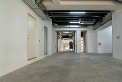 Keong Saik Road (D2), Shop House #613383161